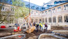 De zilverlinde in de pandhof