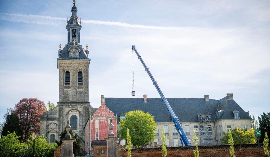 De levering van de zilverlinde